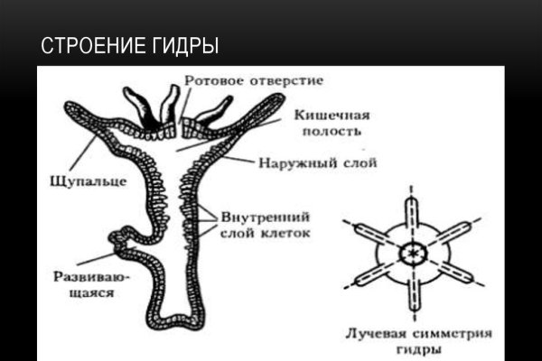 Kra13.cc