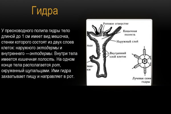 Зеркало kraken тор ссылка рабочее